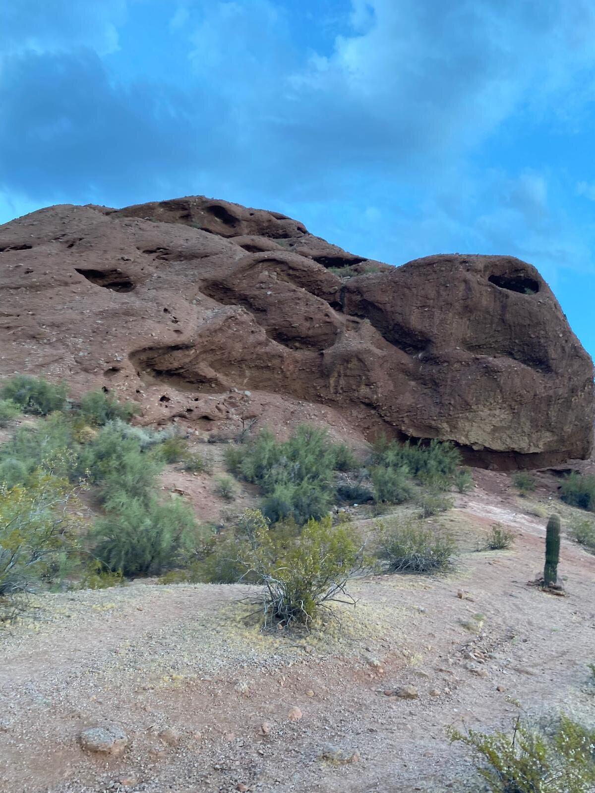 El calor en la zona no opaca los paisajes que se ven en el desierto.