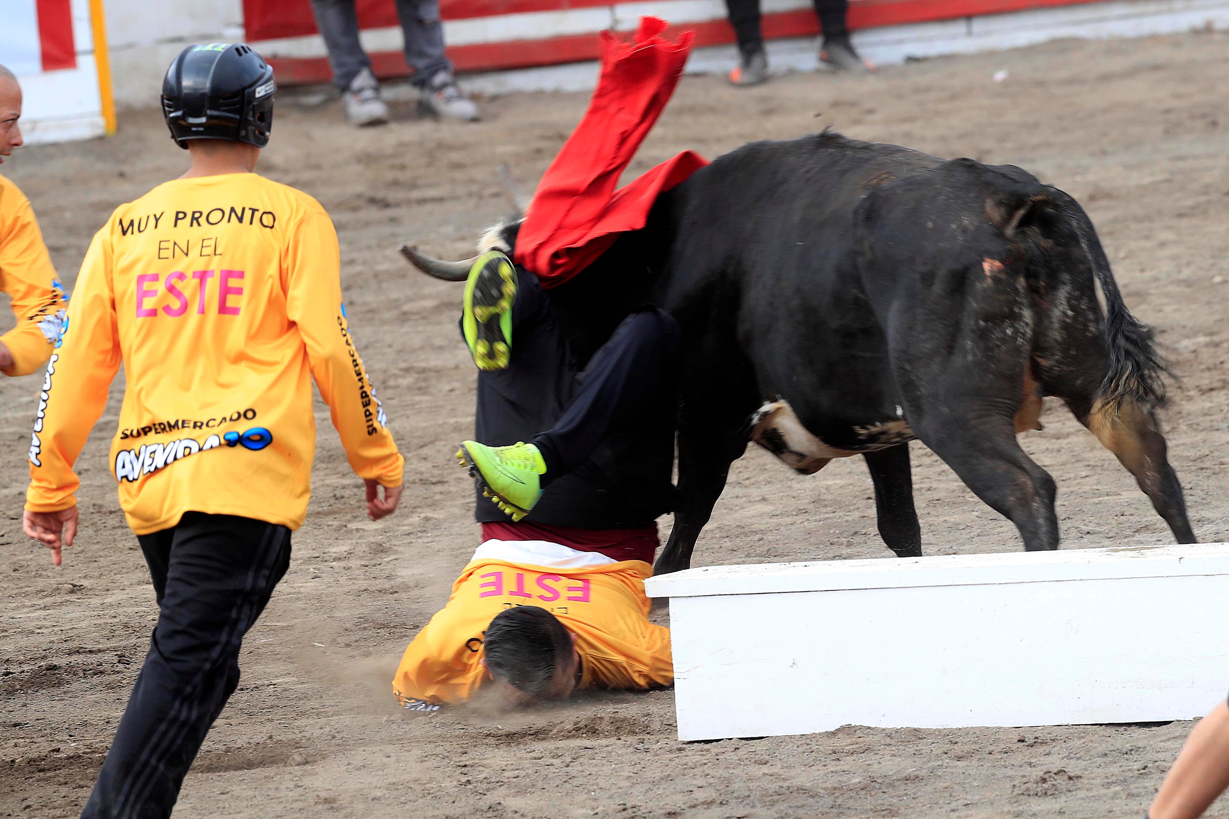 26/12/2023 Zapote. Las emociones volvieron a aparecer, este martes por la tarde, en el Redondel de Zapote con las tradicionales corridas de toros, especialmente con la participación de los toreros improvisados.