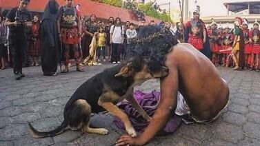 Perrito callejero no soportó y se metió a consolar a “Jesucristo”