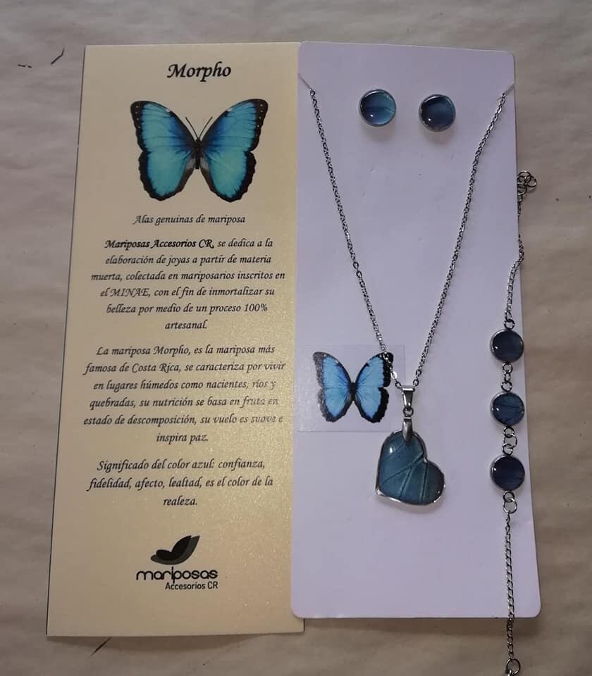 don Danilo Rodríguez y doña Mónica Rodríguez, un matrimonio sarchiceño que de la noche a la mañana tuvo que cerrar lo que fue su fuente de ingresos durante 14 años el Mariposario Sarchí. Ahora hacen joyería con alas de mariposas.