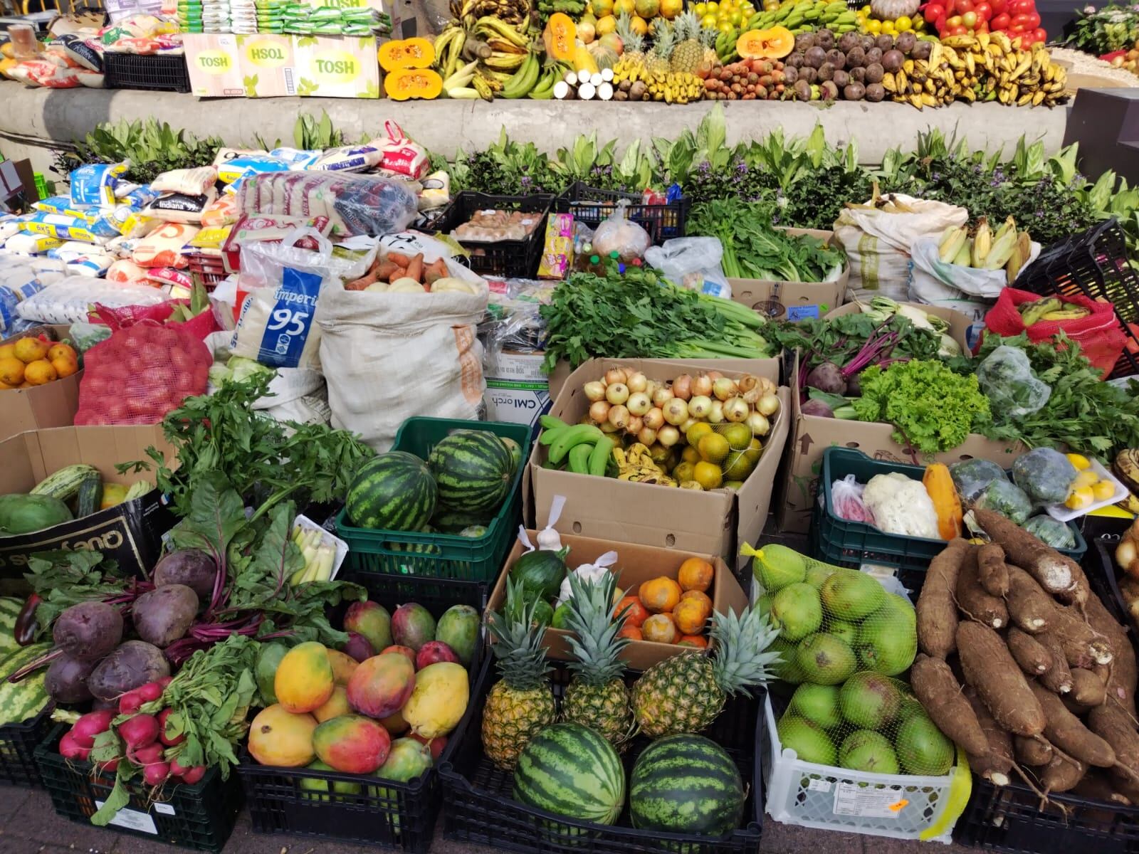 En medio de la celebración religiosa del recordatorio de Jesús en el huerto, se crea todo un huerto lleno de frutas, verduras, vegetales y todo tipo de comidas donadas por los trameros.