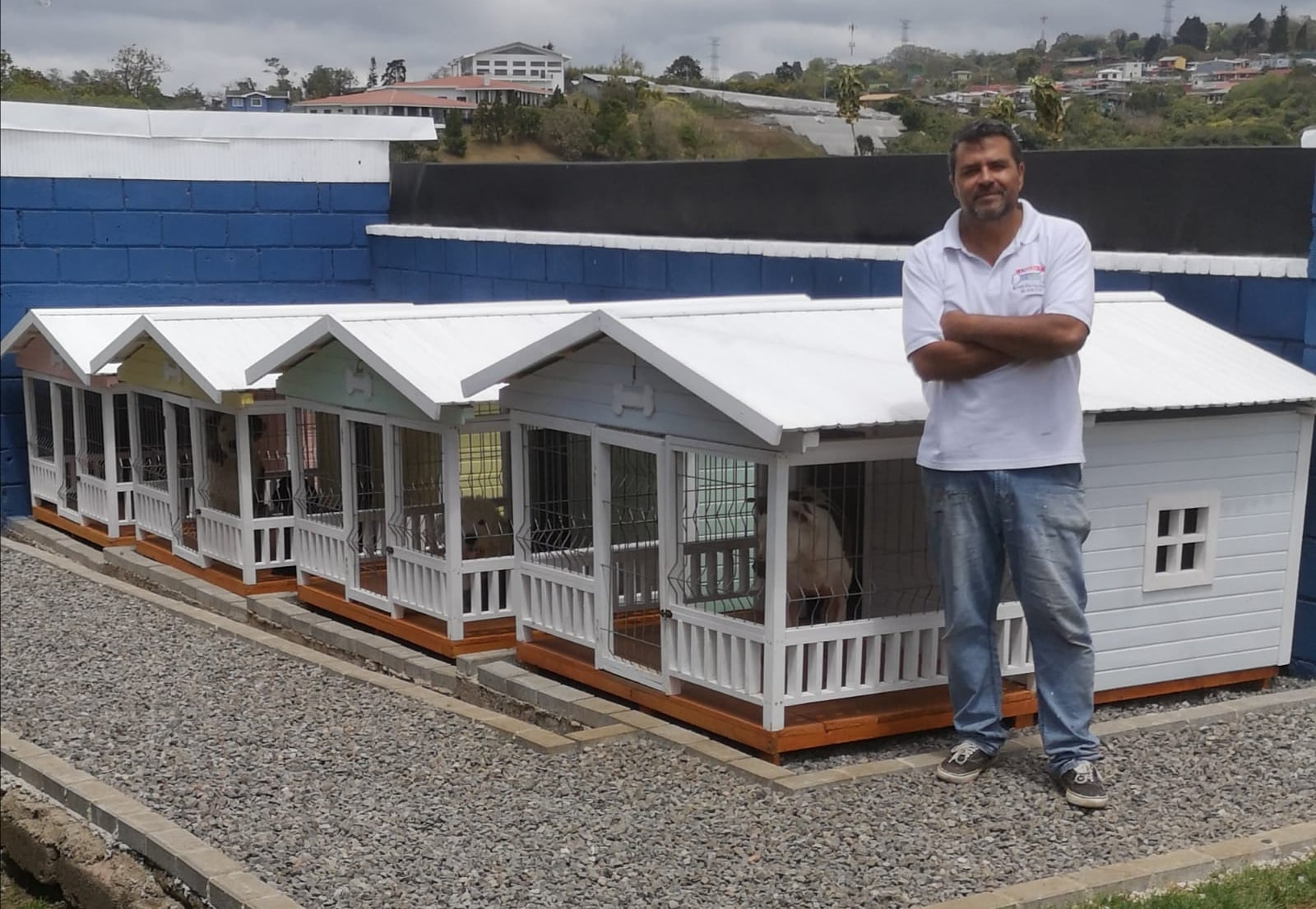 Roberto Méndez hace unas casas para perros preciosas