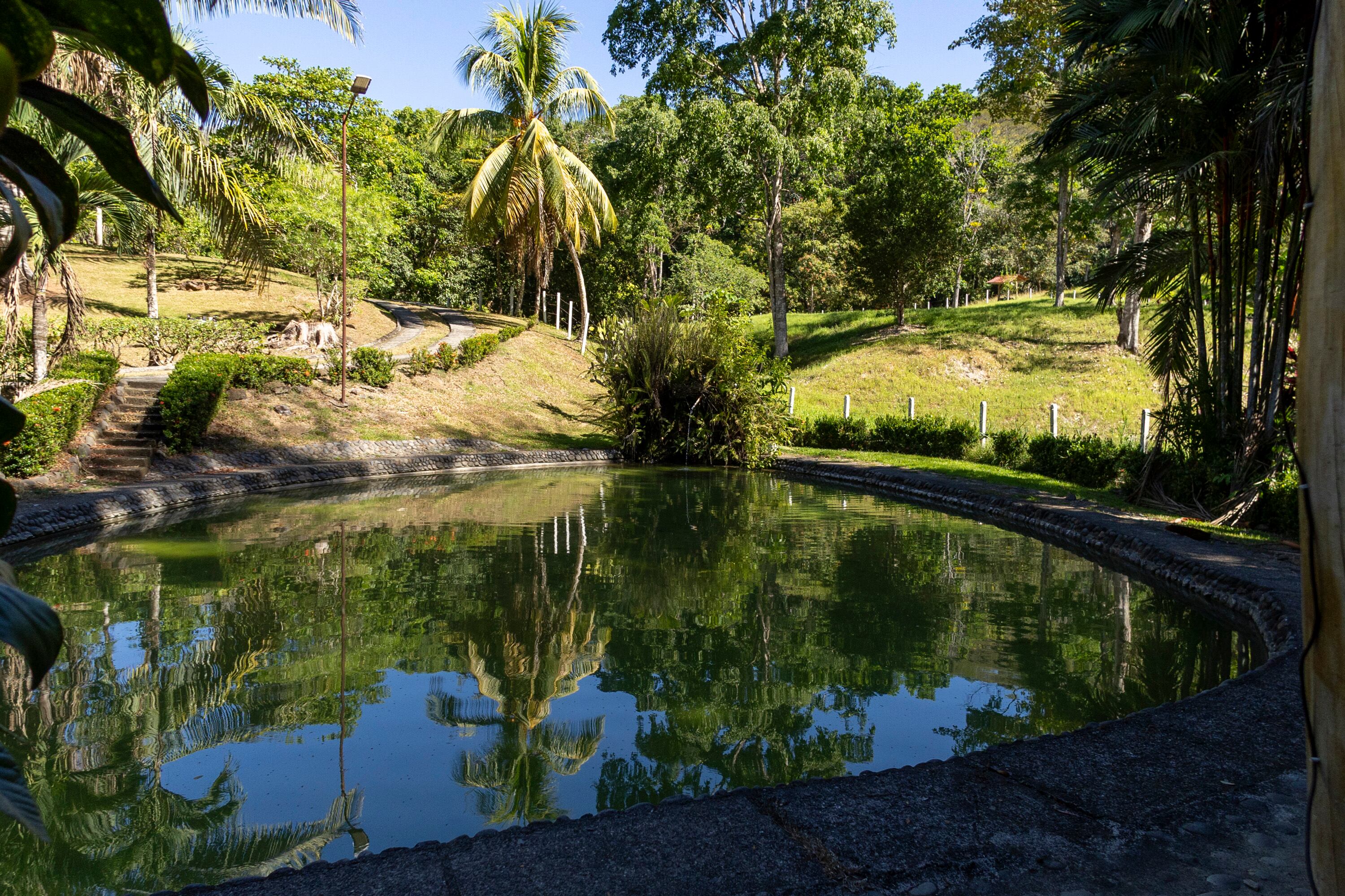 MATERIAL EXCLUSIVO DE LA TEJA.
27/02/2024, Puntarenas, Jacó y Quepos, recorrido por Carara Adventure Park y la Marina Pez Vela, para ver las atracciones que ofrecen al turismo nacional y extranjero.
