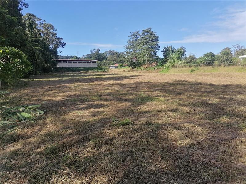 El Instituto Nacional de Seguros (INS), la está vendiendo. Este viernes 16 de mayo el INS confirma que pone a la venta 8 propiedades ubicadas en Coto Brus (San Vito y Pittier), Lepanto de Puntarenas, Coyolar de Orotina y Siquirres, en la provincia de Limón.