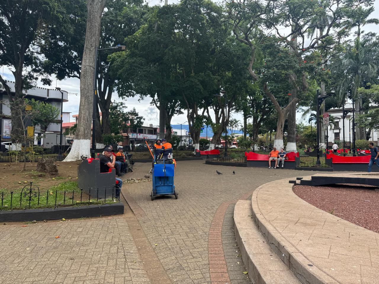 Caída de mangos en parque de Alajuela