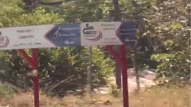 ¿Por qué las personas graban ataques en vez de intervenir? Sociólogo lo explica