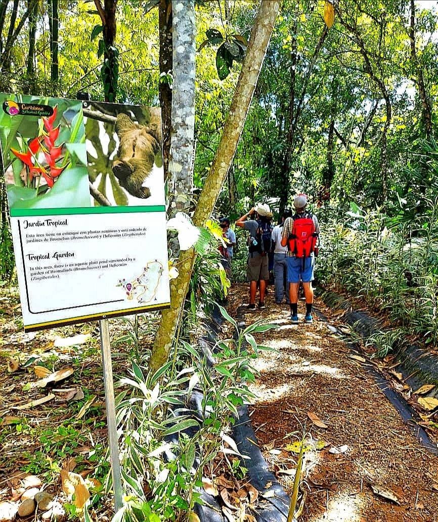Caribbean Botanical Garden