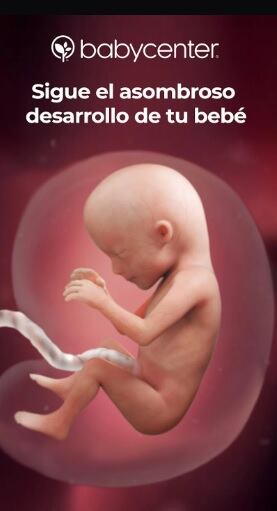Alexander Arrieta Madrigal es papá de tres hijas, está casado y usa aplicaciones tecnológicas para ayudarse en la crianza de sus hijas Emma, Amelia y Ariana. Esta casado con doña María José Chavarría.