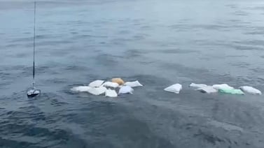 Guardacostas le ganaron el mandado a narcos y los dejaron sin un valioso cargamento