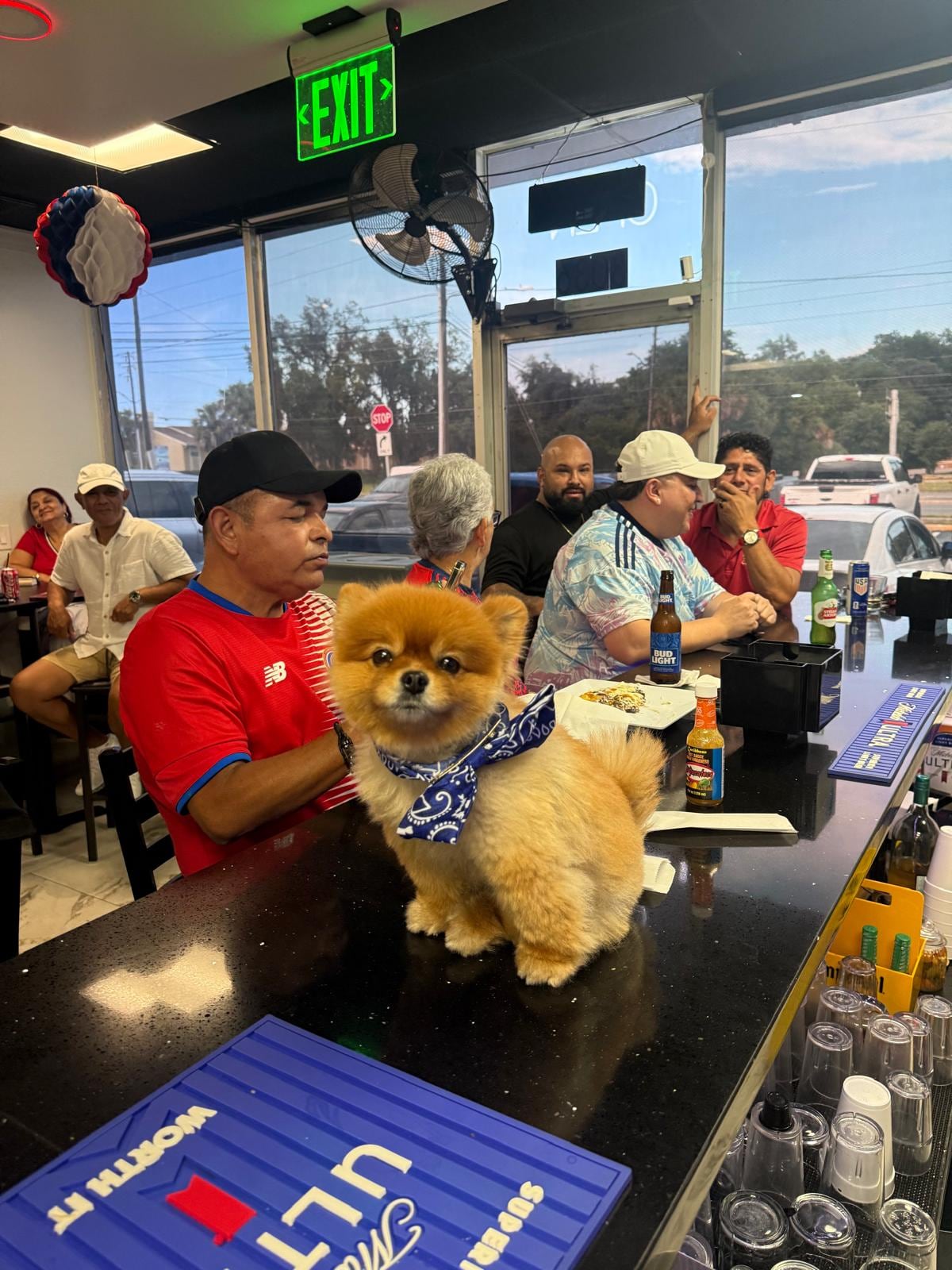 Uma, una simpática perrita pomerania de tres años que viajó desde Costa Rica hasta Estados Unidos para acompañar a su familia en una aventura que se vive a puro fútbol.