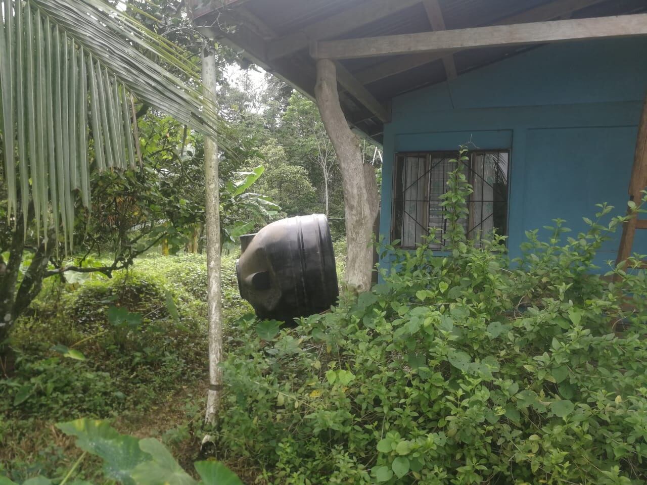 Maleantes atacan a machetazos a señor de 81 años en Upala. Fotos Edgar Chinchilla.