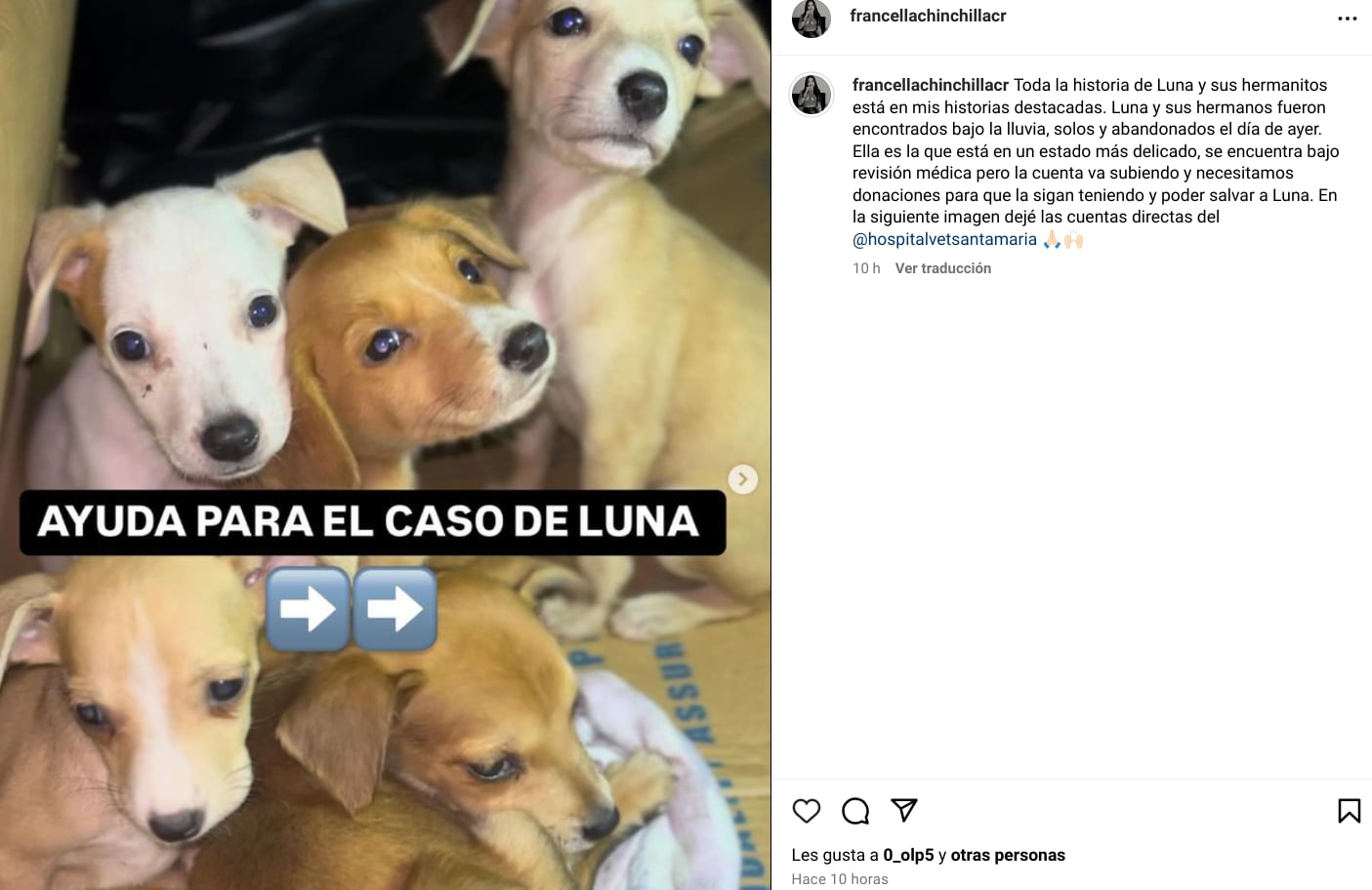 Modelo y creadora de contenido Francella Chinchilla