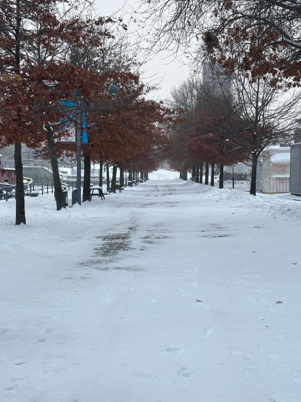 Canadá destaca por sus paisajes y diversidad de experiencias turísticas.