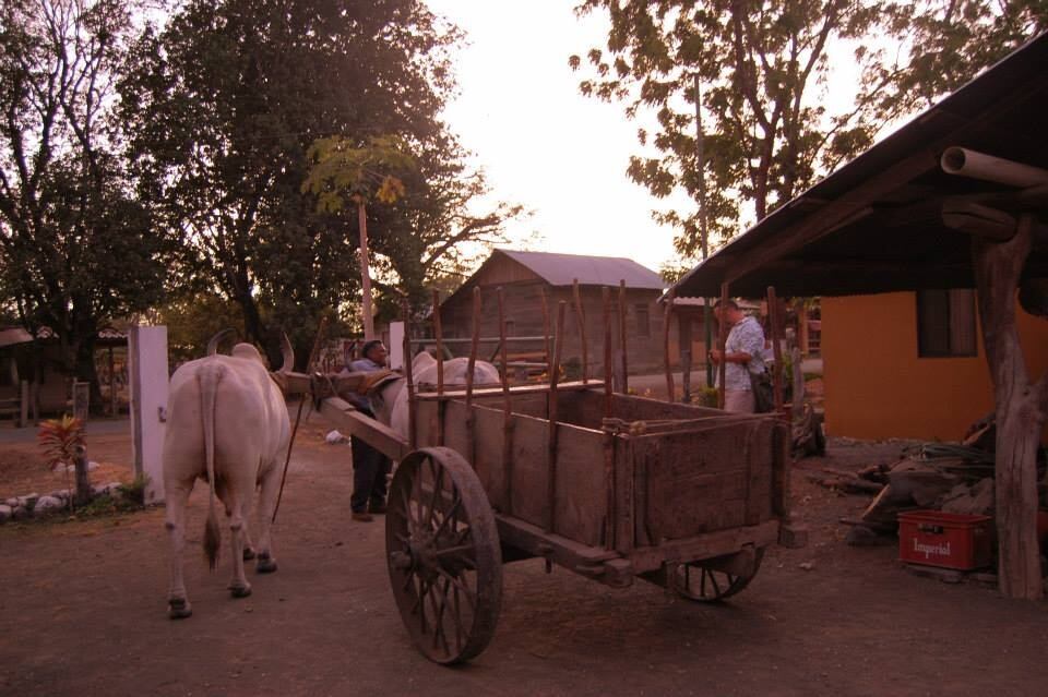Carreta Cureña guanacasteca. El boyero se llama don Pedro y es de Bolsón de Santa Cruz. Foto de la página en Facebook Boyeotico de don Alejandro Guevara Muñoz
