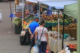 CNP reporta disminución en los precios de algunos productos: Agricultor explica por qué ocurre esta baja