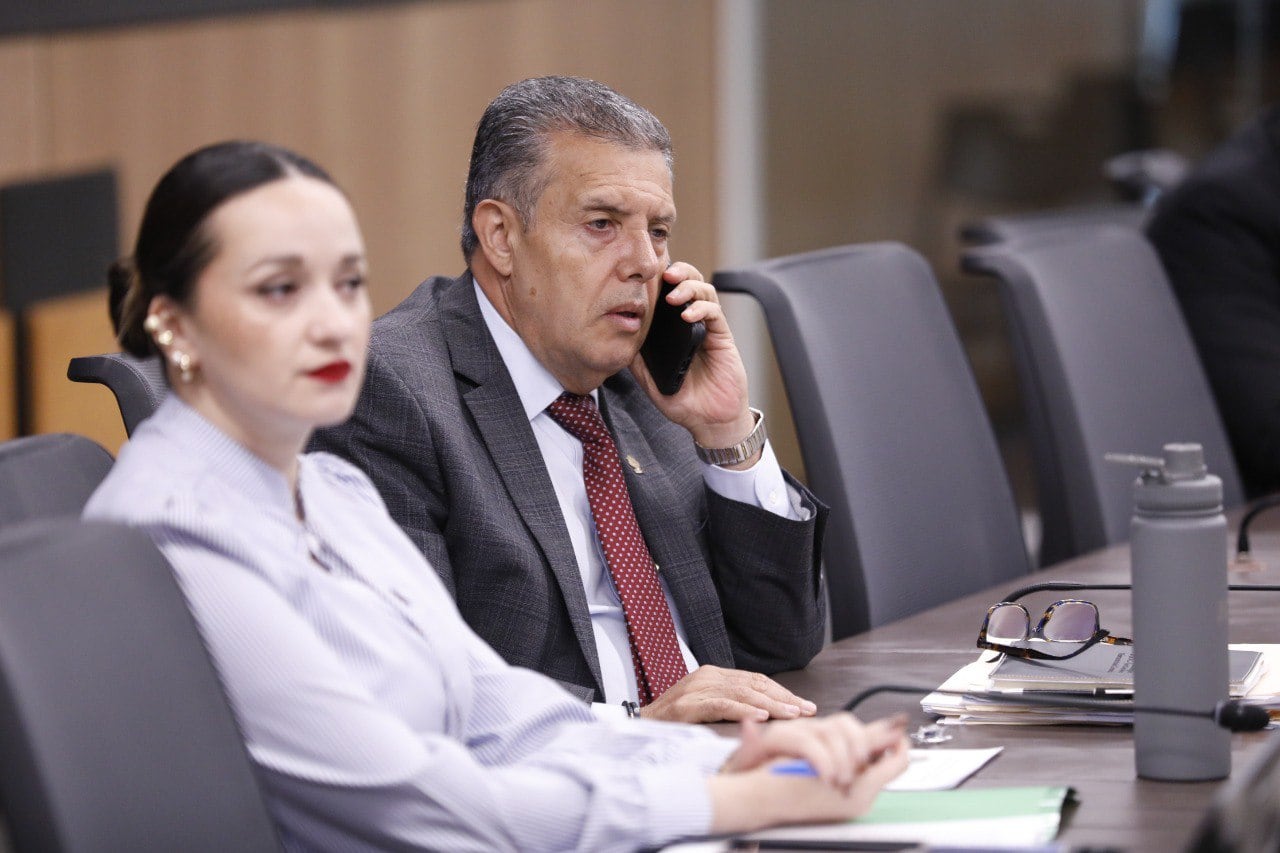 आंतरराष्ट्रीय आयोगाचे प्रतिनिधी