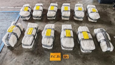 Decomisan 288 paquetes de cocaína escondidos en contenedor cargado con verdura