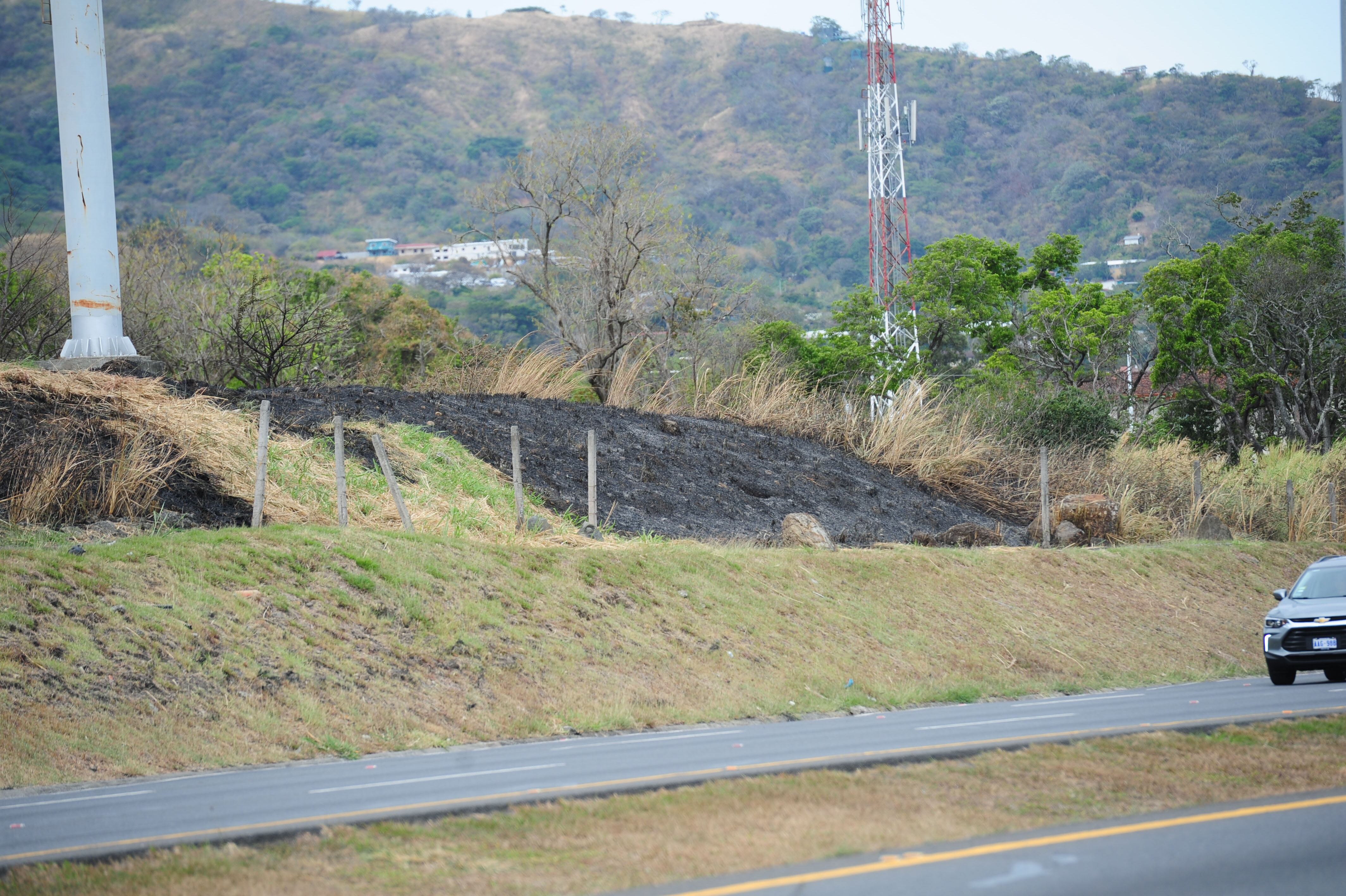 Incendio Parque natural urbano Lorne Ross