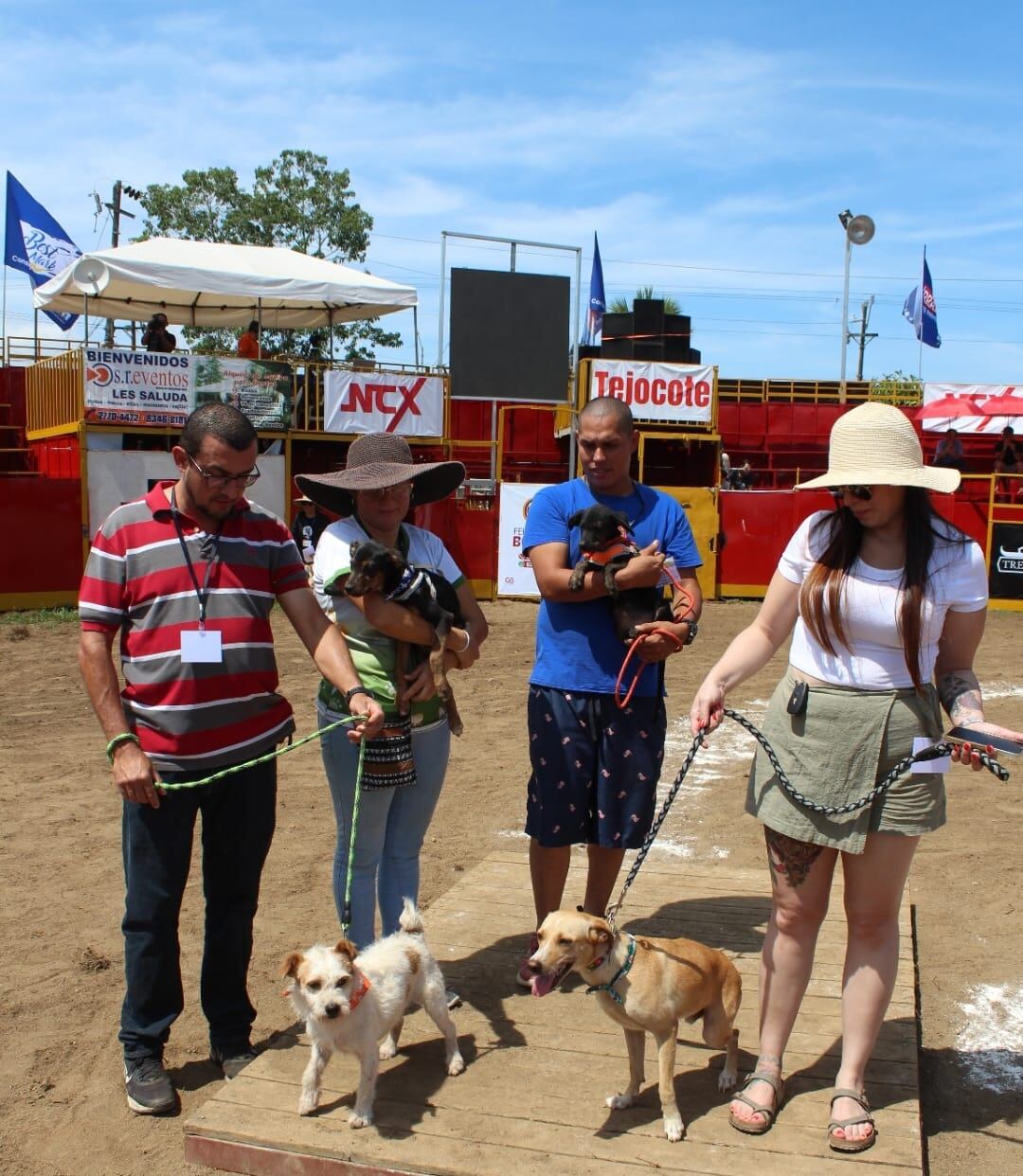 Pirucho, un perrito que fue rescatado de las calles, ganó la edición 35 del Zaguate del Año que se realiza en Pérez Zeledón.