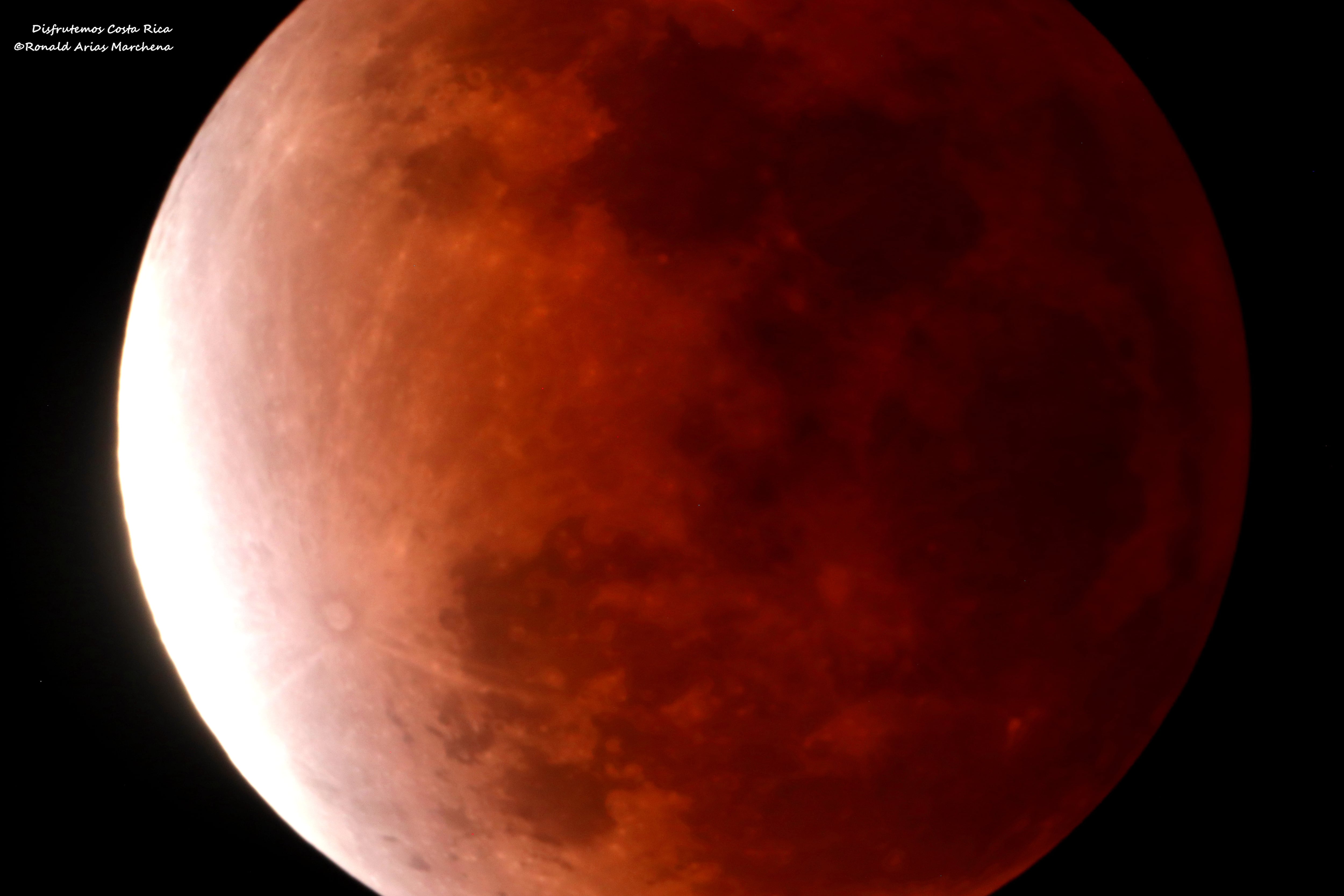 Ronald Arias Marchena, guía naturalista y de astronomía con más de 20 años de experiencia, logró hacerle una muy bonita foto a Leonard el pasado 3 de diciembre como a las cuatro de la madrugada