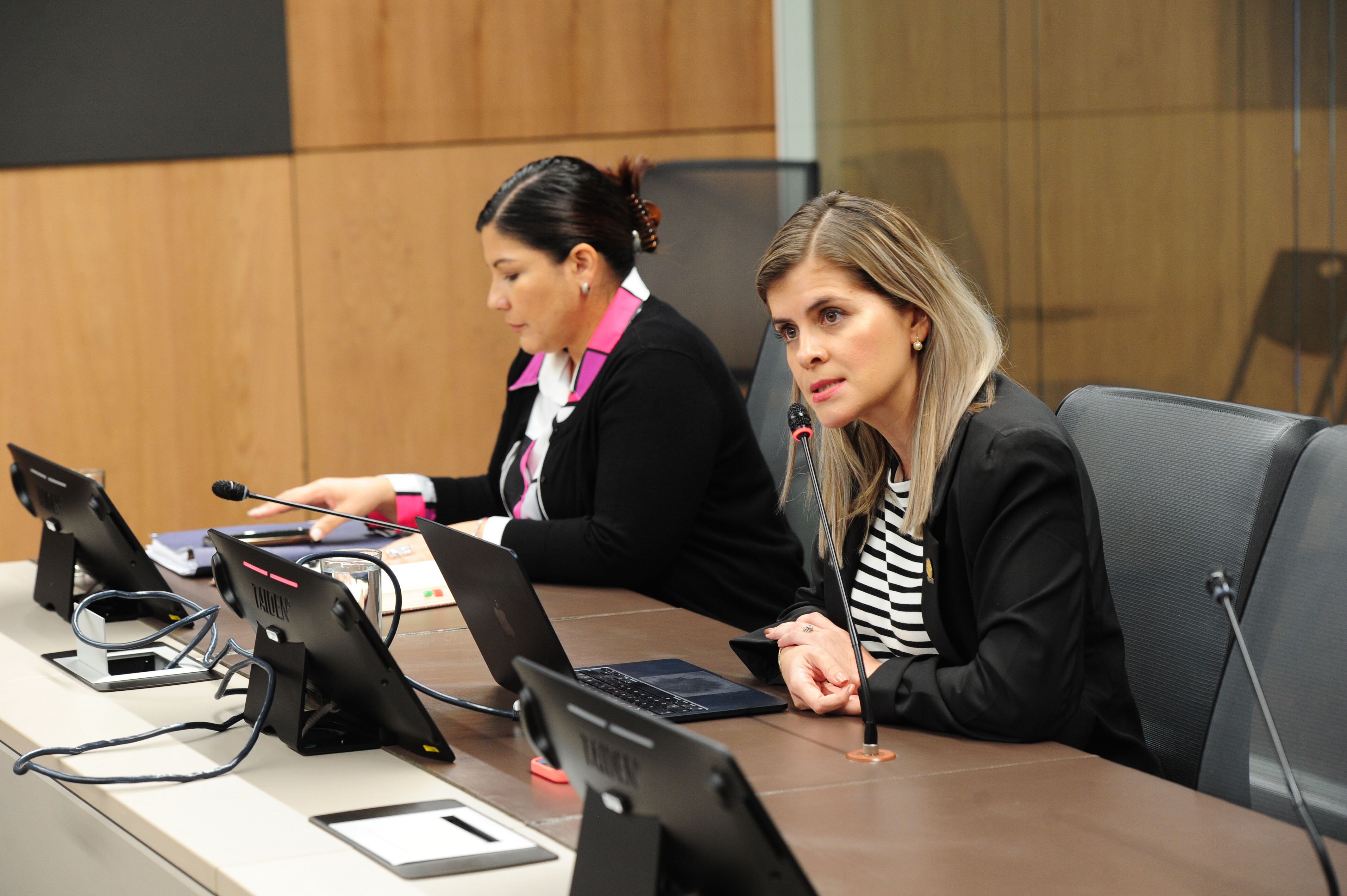 Ministra de la Presidencia Sra Laura Fernández en comisión.