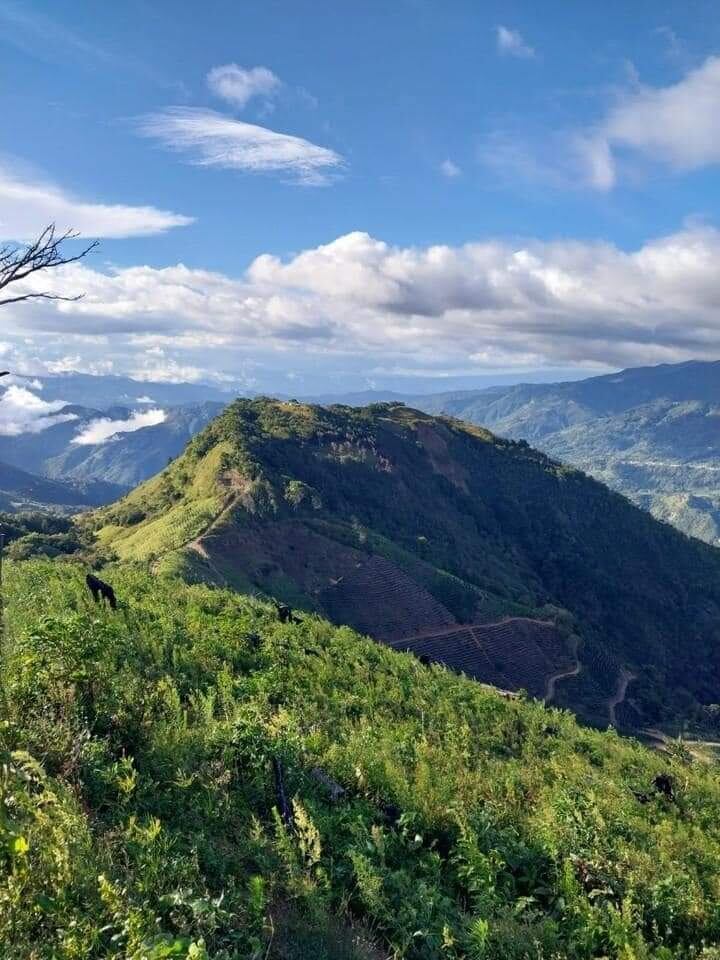 Este tour le será útil para prepararse para ir al cerro Chirripó.