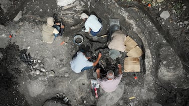 Mastodontes y perezosos gigantes: otros hallazgos paleontológicos en Costa Rica