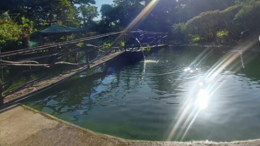 Paraíso de Manantiales se ubica en Alajuela, Río Cuarto, La Colonia Toro Amarillo. Foto: Instagram