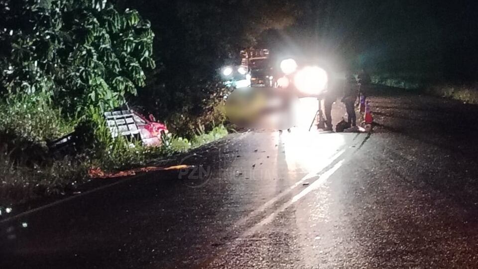 En Cuesta López, en Buenos Aires, zona sur del país, falleció un hombre atropellado por un pick up. Foto: PZ Noticias