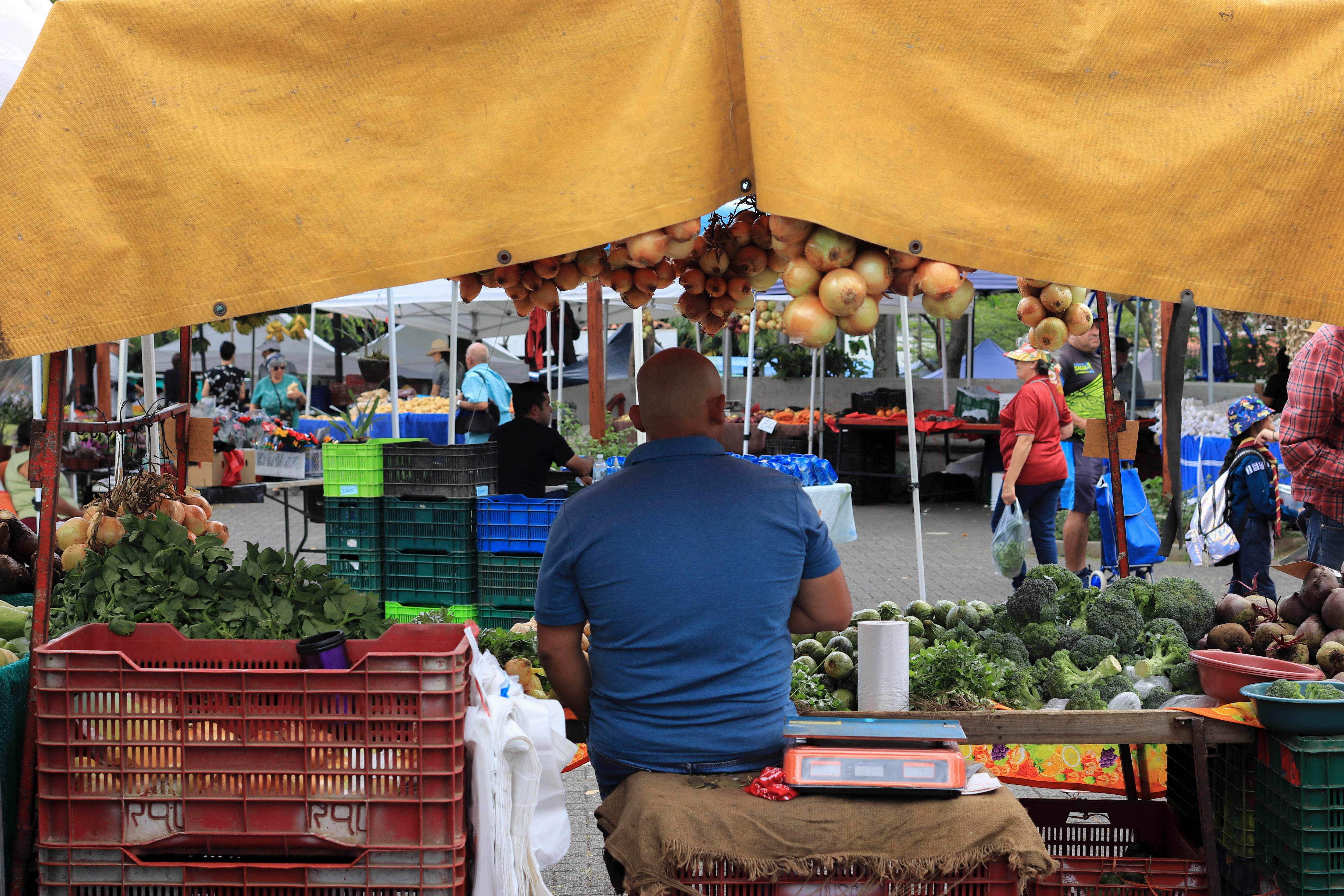 Feria del Agricultor