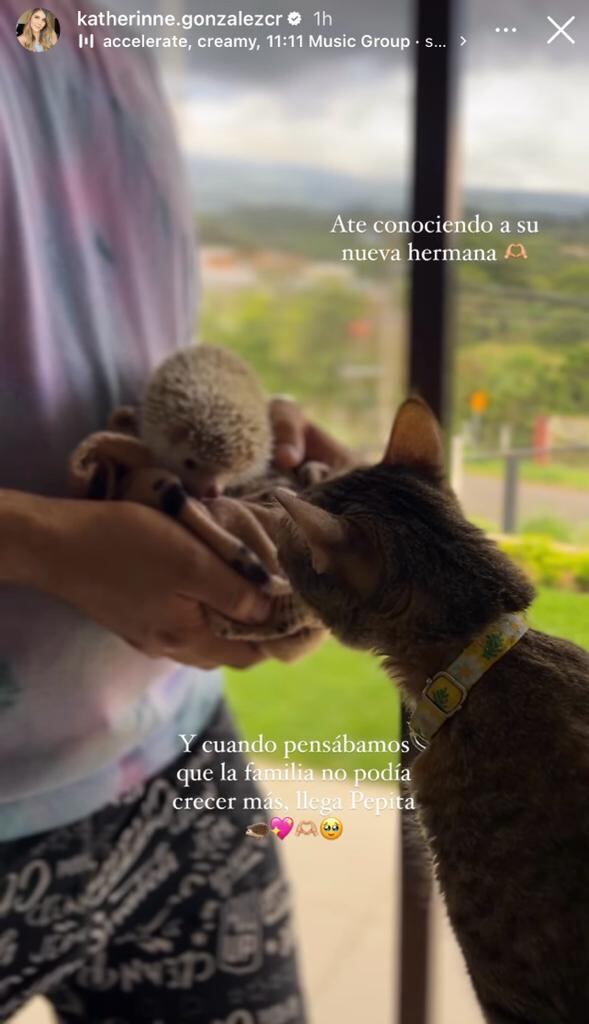 Katherinne González