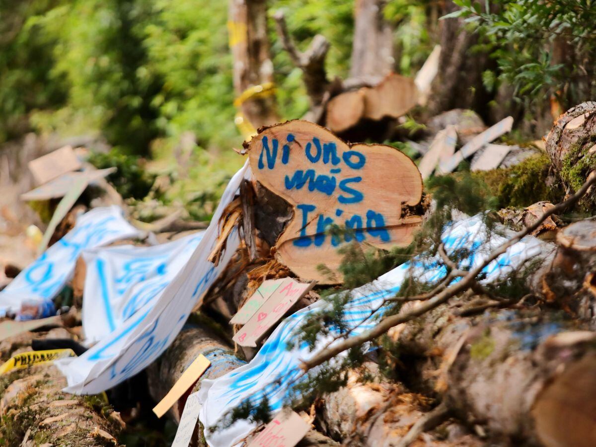 Decenas de manifestantes se reunieron para detenter la tala de árbol es en El Tirol, en San Rafael de Heredia.