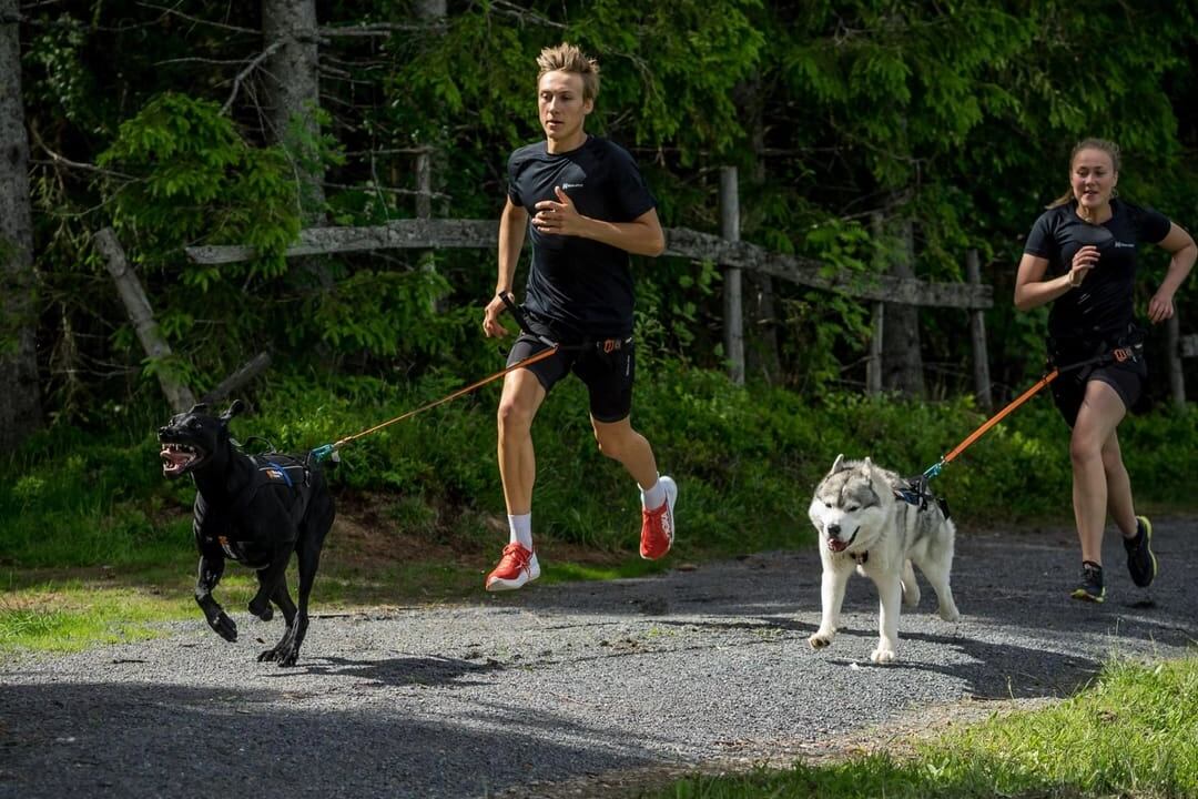 Campeón de canicross en Costa Rica promoverá el deporte en Viva Feria de Mascotas.
