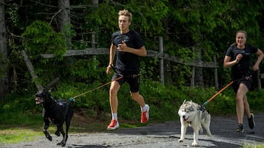 Campeón de canicross en Costa Rica promoverá el deporte en Viva Feria de Mascotas