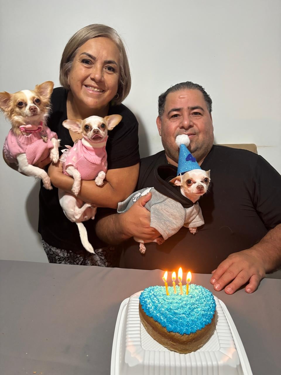 En El Porvenir de Desamparados, en San José, hay una casa donde tres pequeños chihuahuas mandan más que los humanos. Lo curioso es que la dueña del hogar, doña Milagro Monge León, durante buena parte de su vida no soportaba ni tener un perro cerca