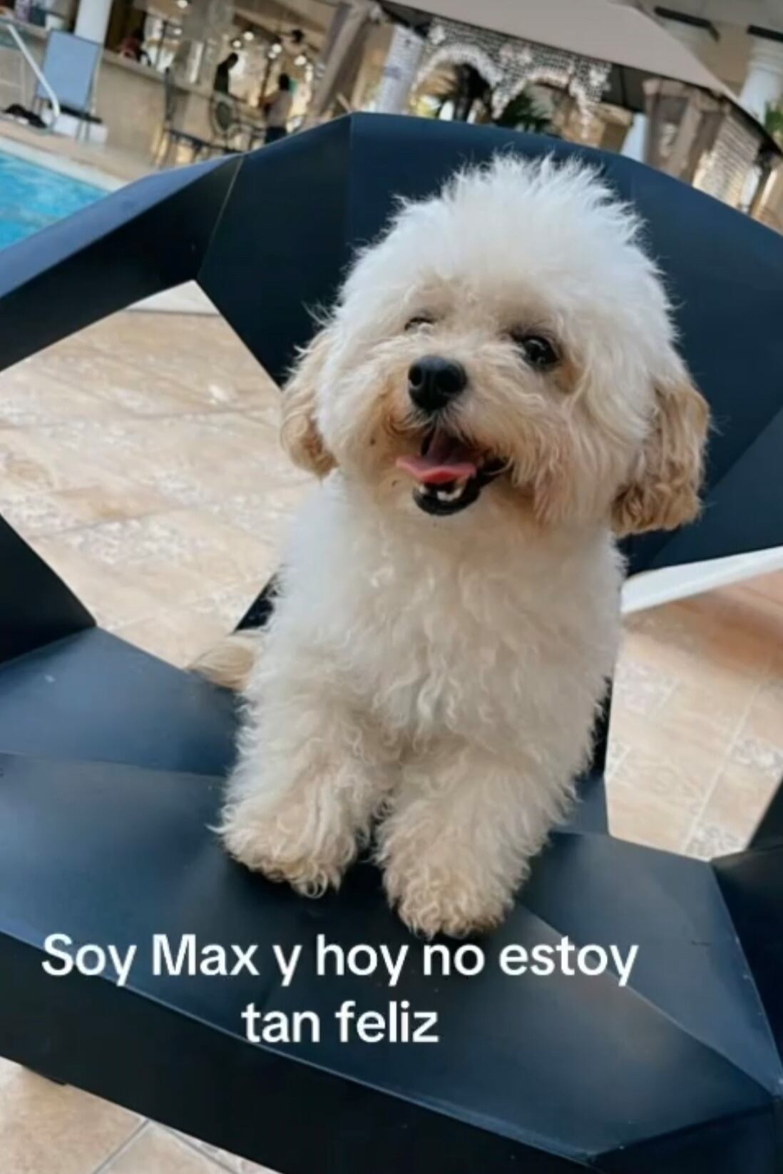 Yorleny Castillo, cantante de Calle 8.