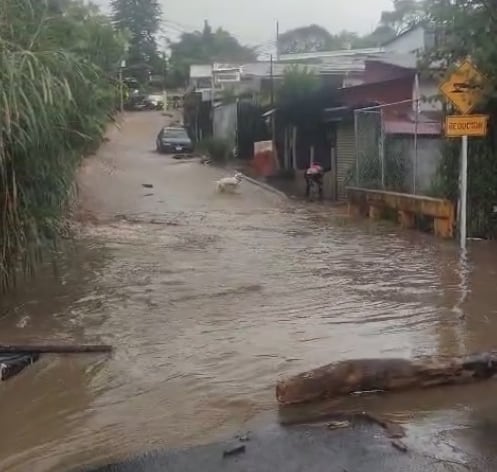 80 casas afectadas y 13 personas rescatadas por el desbordamiento de una quebrada en Escazú