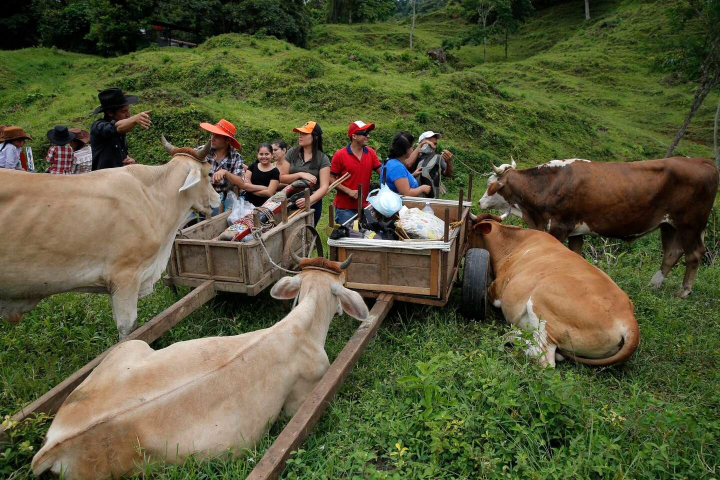 Cantón de San José lo invita a sumergirse en su naturaleza y arqueología.