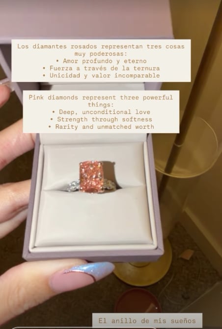 Nicole "Coco" Roper se comprometió con su misterioso novio.