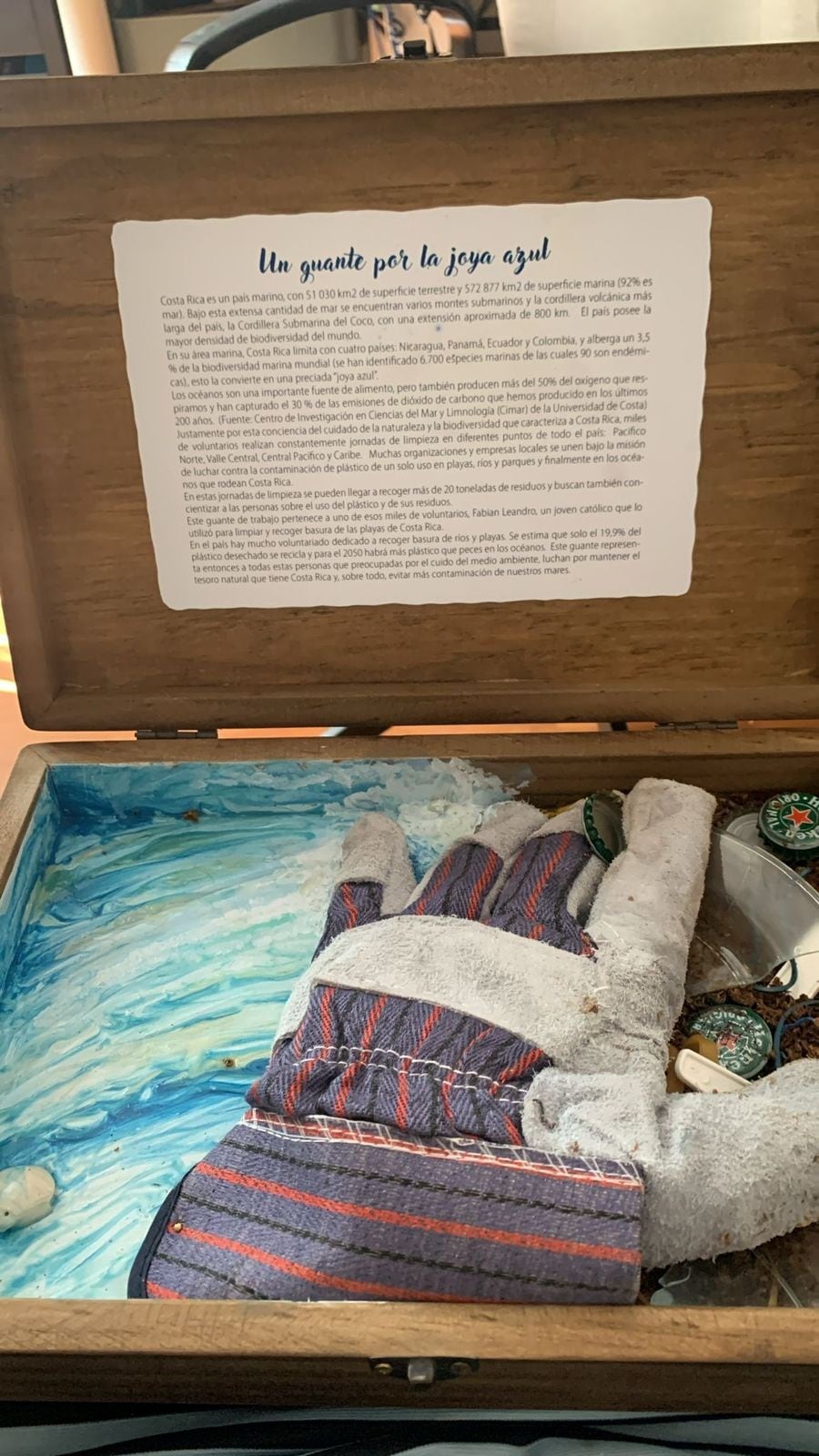 En pleno vuelo, en el avión papal y dirigiéndose hacia Indonesia, el papa Francisco recibió un especial y particular regalo desde Costa Rica. La periodista de la cadena COPE, España, Eva Fernández, fue quien hizo la entrega al papa Francisco del obsequio.