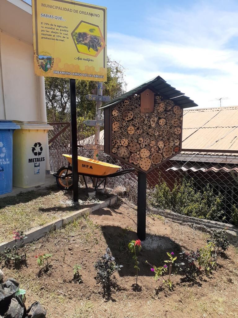 En Costa Rica existen entre 600 y 700 especies de abejas y un poquito más del 90% de estas especies son de abejas independientes (solitarias), es por eso que, buscando proteger a esa gran mayoría que no tiene colmena, nació el programa Cantones Amigos de las Abejas