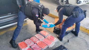 Decomisan el más grande lote de drogas sintéticas en pleno centro de Tibás