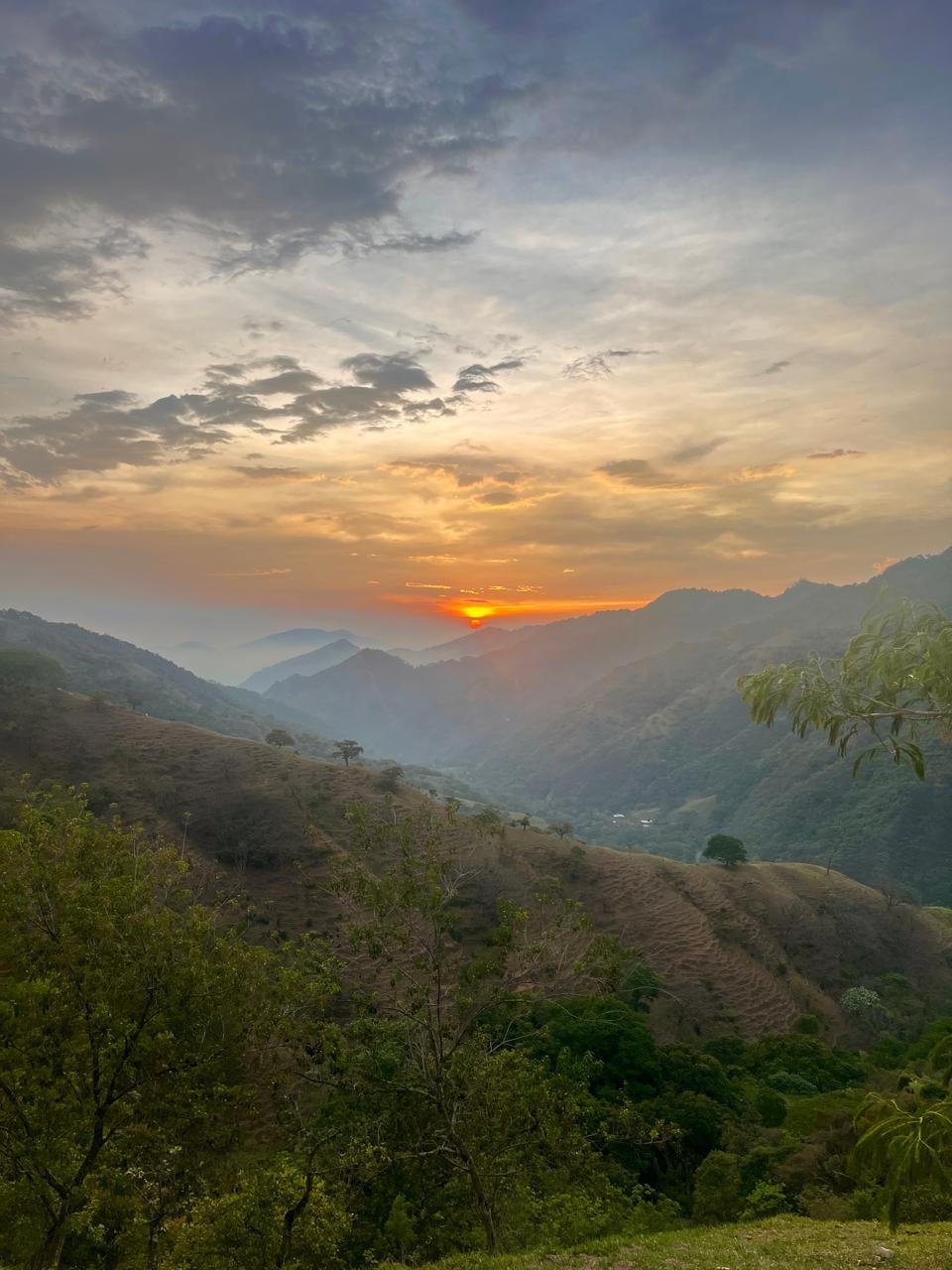 En Gravilias de Acosta, un pueblo rural al pie del cerro Dragón, rodeado de cafetales, ganado y cítricos, creció Deylin Masís Chinchilla, una joven de 17 años que se convirtió en orgullo nacional al obtener 900 puntos, la nota máxima, en el examen de admisión de la Universidad Nacional (UNA) para el ingreso 2026
