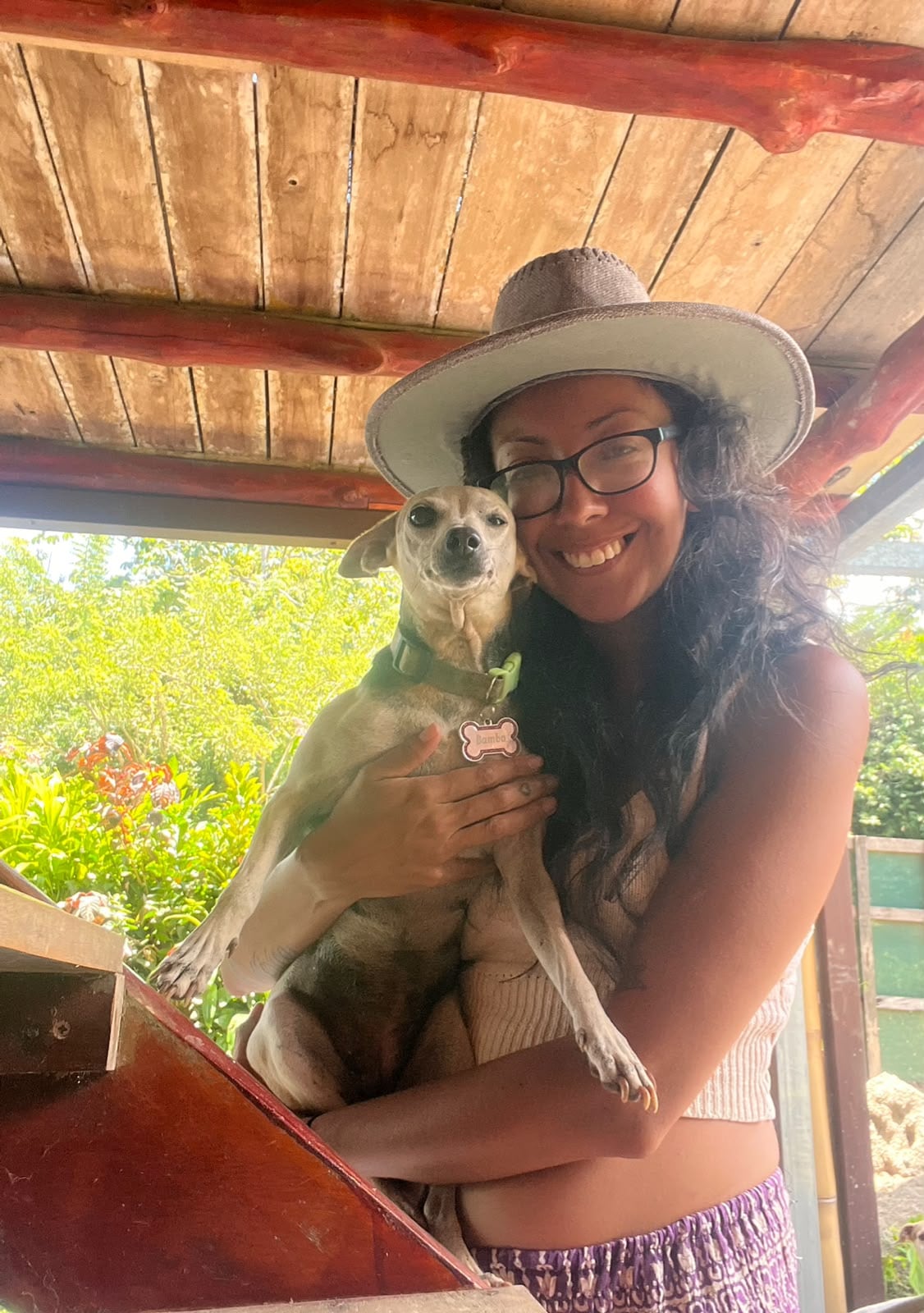 Bamba, la perrita rescatada en Pérez Zeledón que sobrevivió a un atropello estando embarazada.