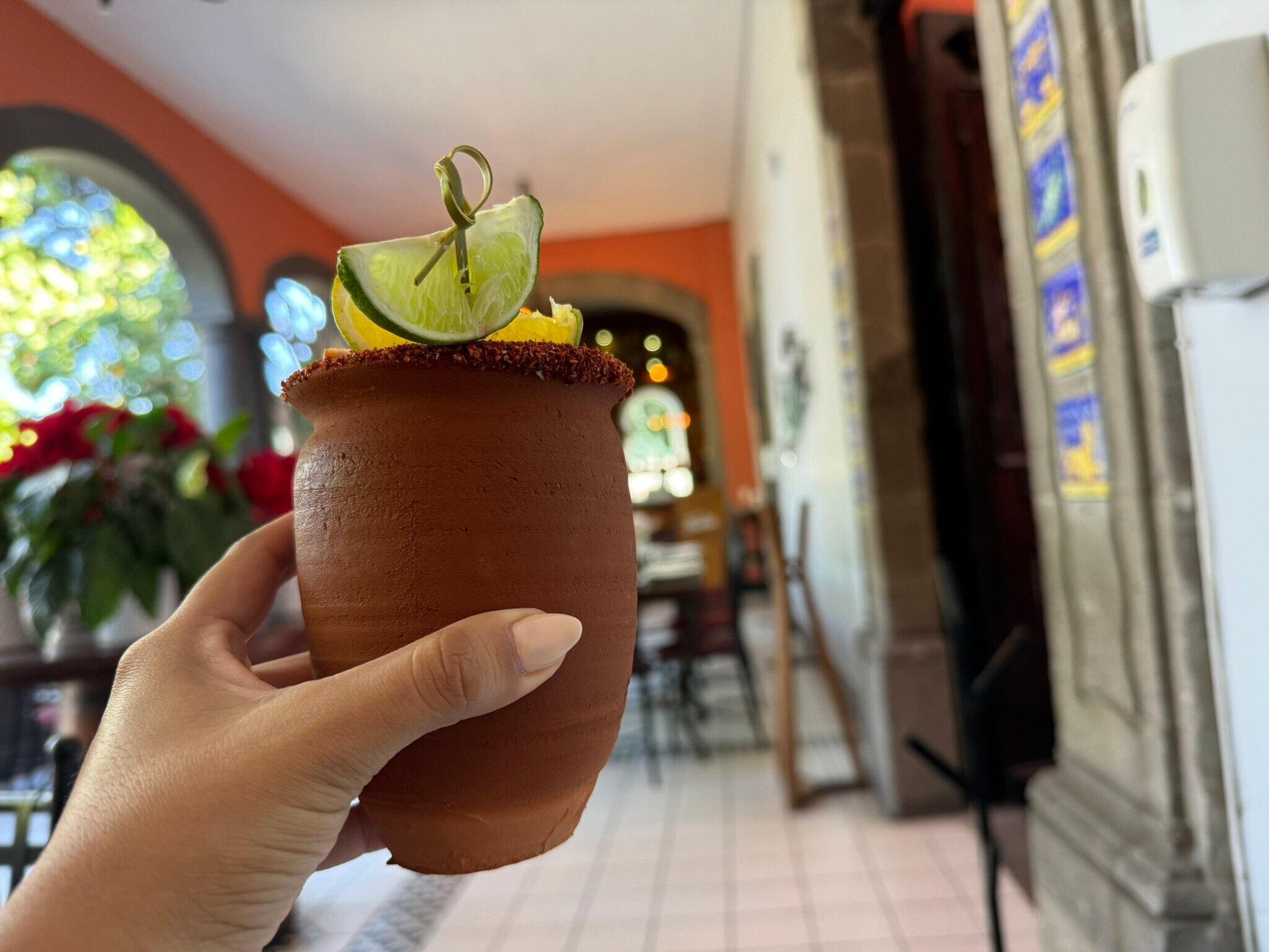 Planta con pinta de peligrosa es la minita de oro del tequila mexicano.