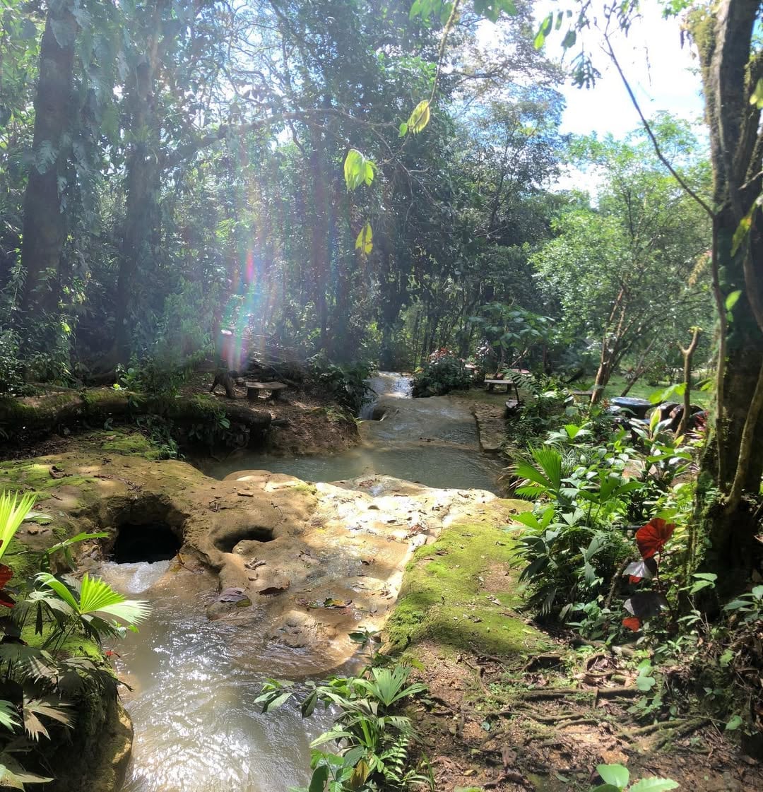 Disfrute de 20 cascadas en un mismo tour que lo atrapará con sus espectaculares vistas.