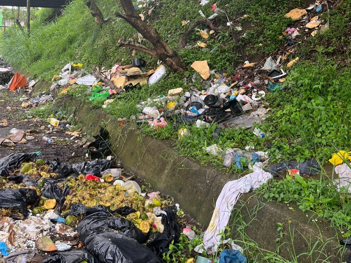 Así se ve el puente sobre la Ruta 32.