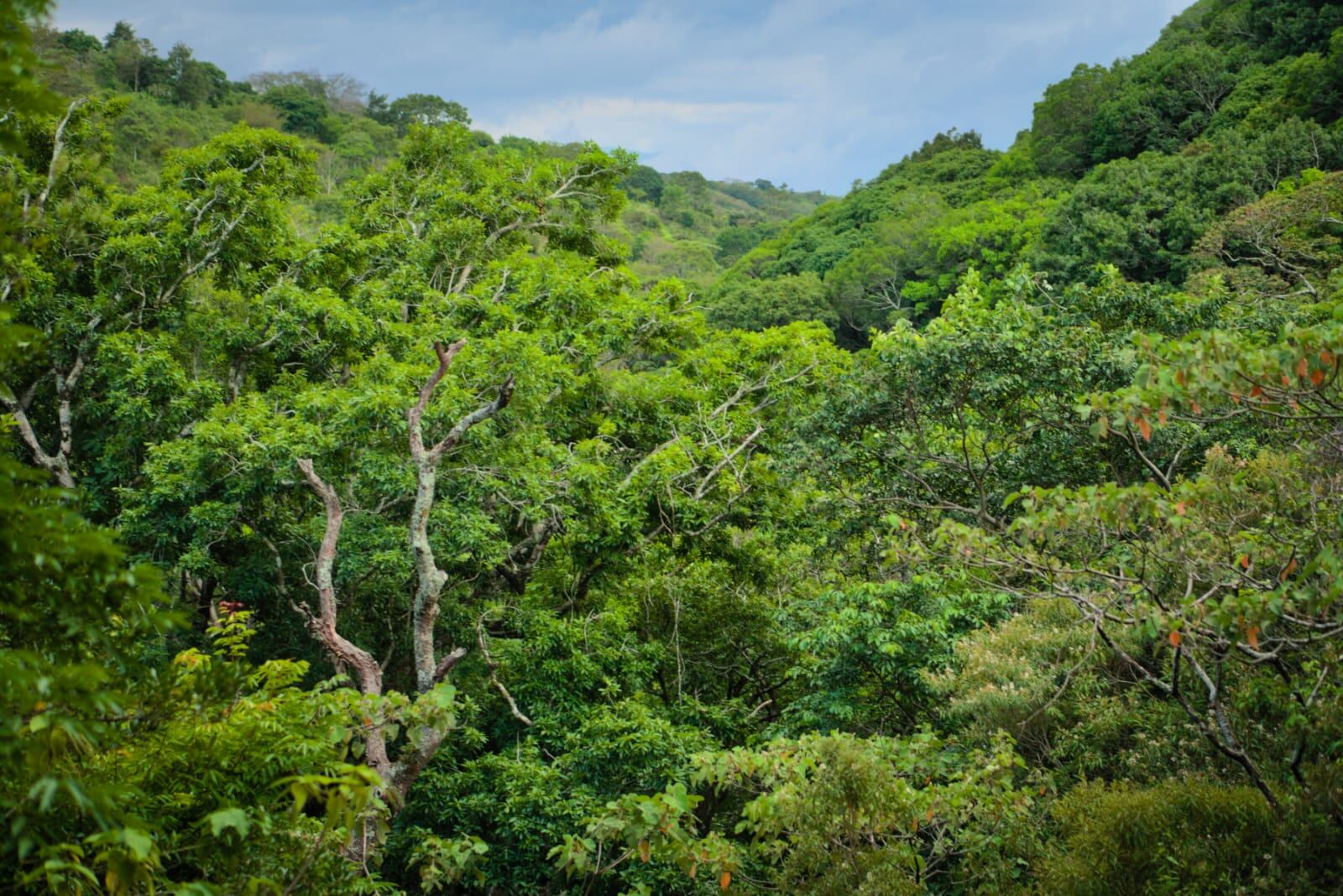 Finca Eco-Turística Poás. (Cortesía)