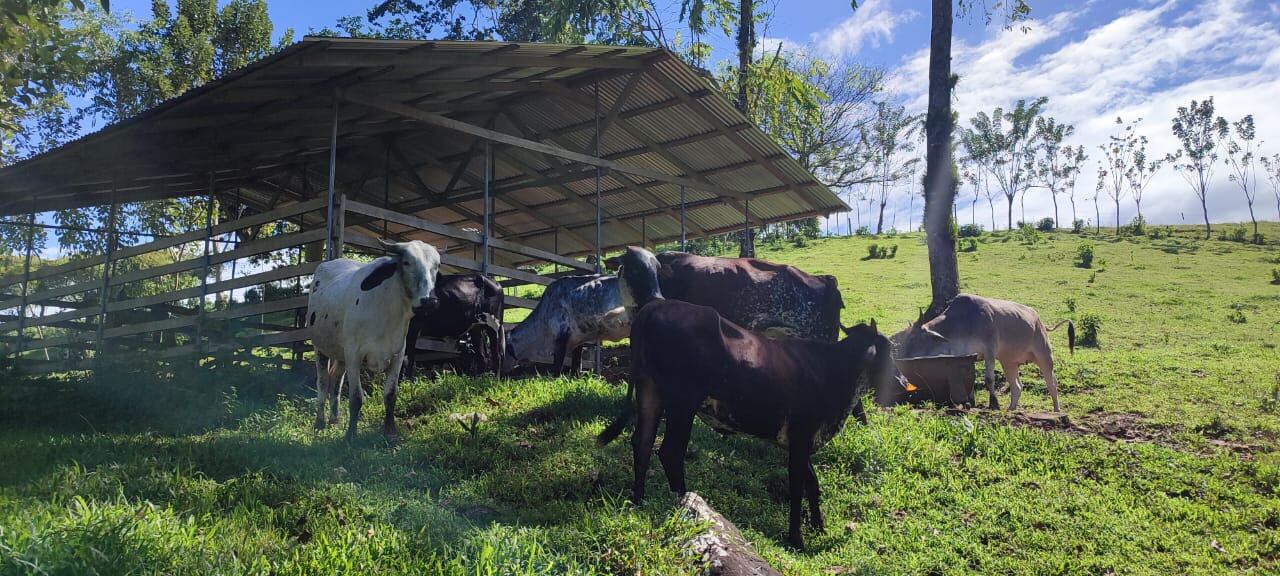 Mágica catarata entre montañas es el destino ideal para unos buenos clavados.