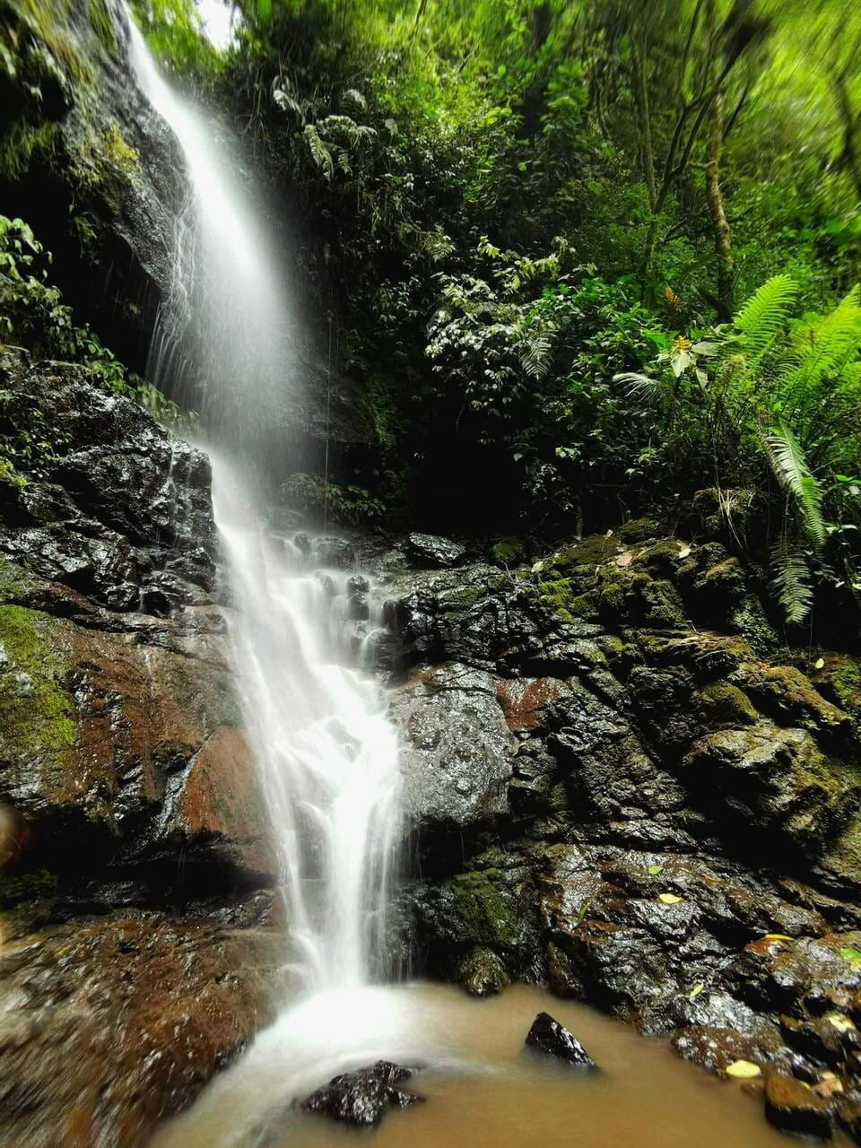 La Gruta Bohemia se ubica en El Guarco de Cartago. Facebook.